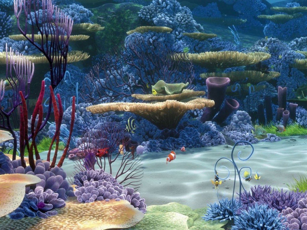 Underwater High Definition Wallpaper HD Picture