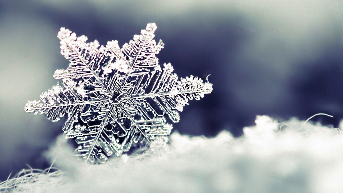 Beautiful Winter Snowflakes HD Wallpaper For iPhone
