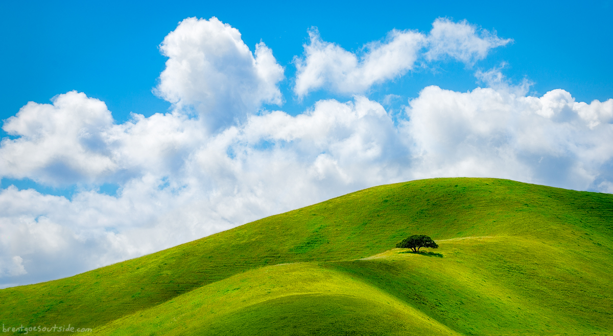 Doesn T This Look Like Bliss The Windows Xp Desktop Background
