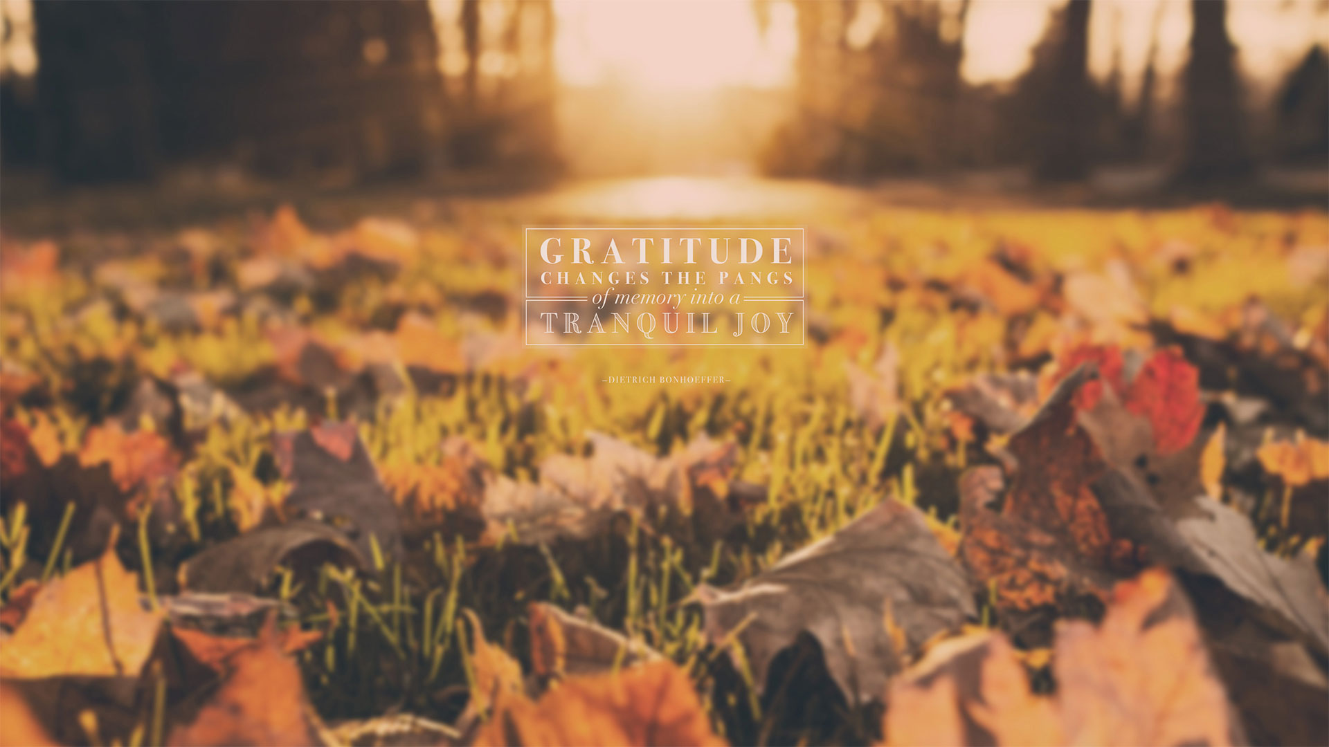 Wednesday Wallpaper Gratitude Changes The Pangs Of Memory Jacob