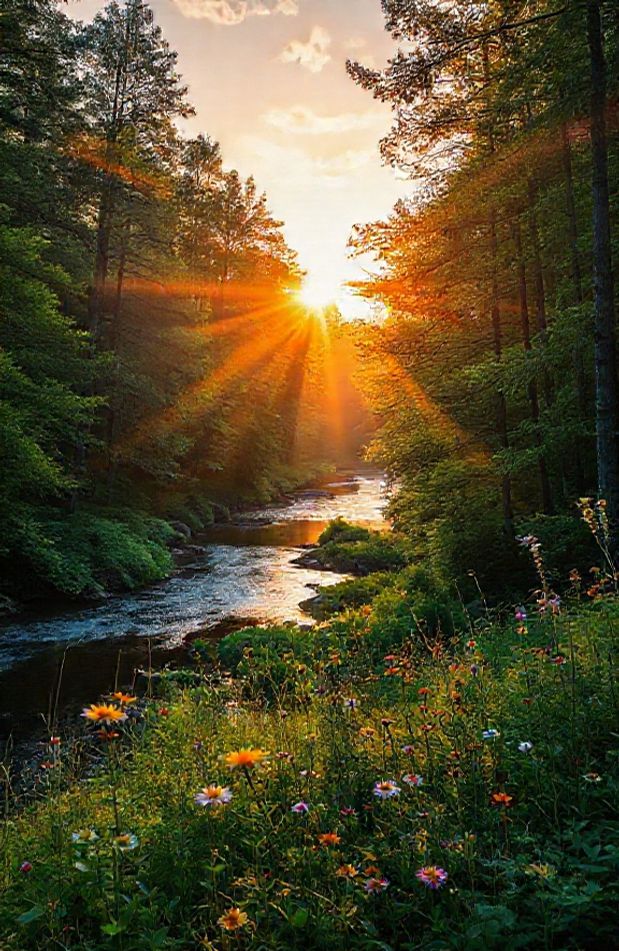 8k Nature Wallpaper