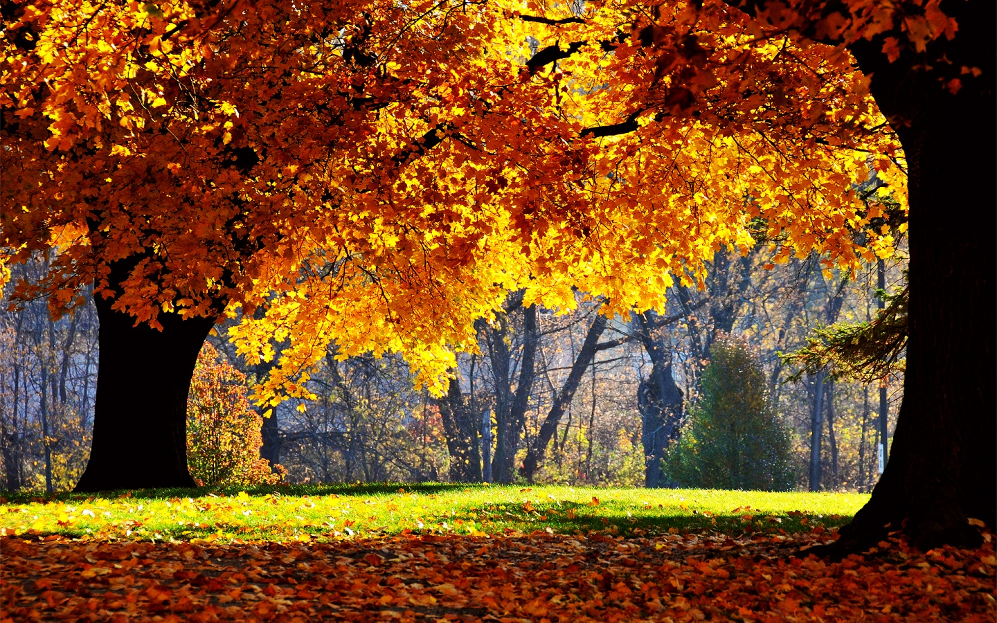 Autumn Falls Desktop Pc And Mac Wallpaper