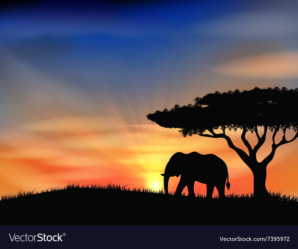 Sunset background with animal elephant Royalty Free Vector