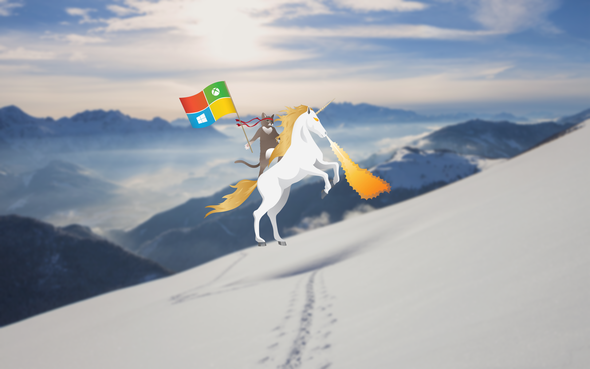 Here are a bunch of Windows 10 Ninja Cat wallpapers   Microsoft News