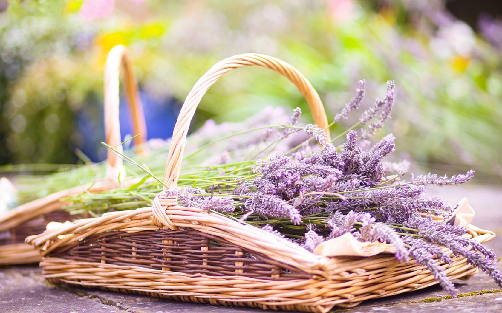 Lavender Flowers Basket