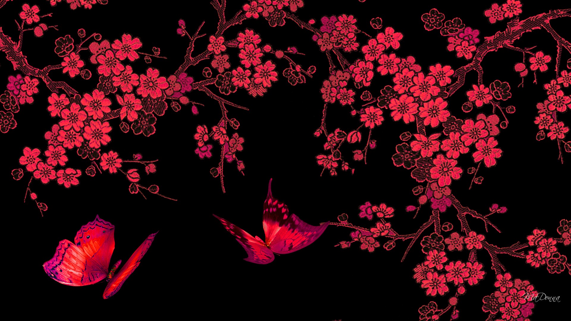 Itachi Uchiha Akatsuki 4K vermelho sakura Wallpaper Estação SyanArt