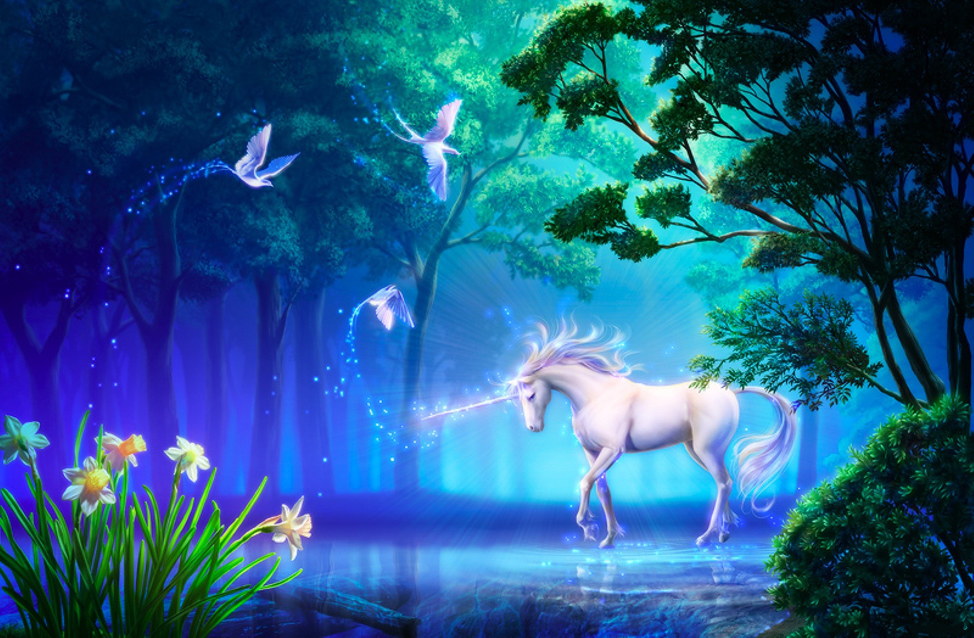 Unicorn Puter Wallpaper Desktop Background