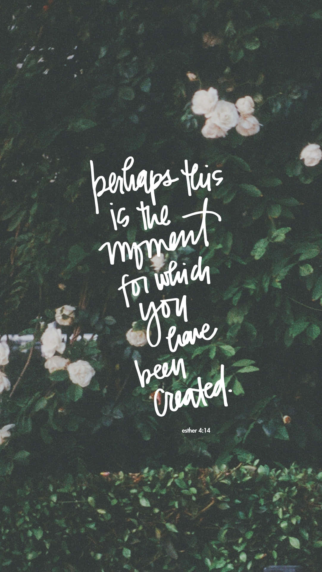 Christian Quotes Wallpaper