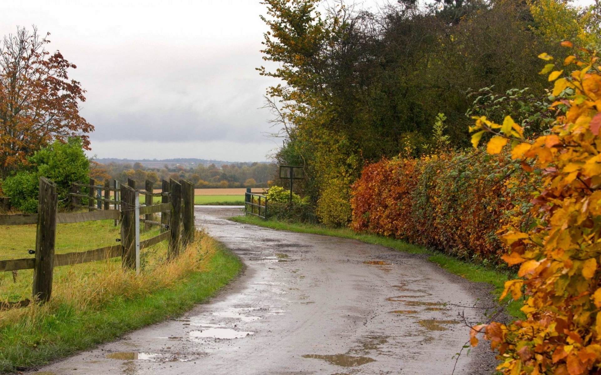 Roads Autumn Fall Rain Wet Water Reflection Fence Landscapes Trees