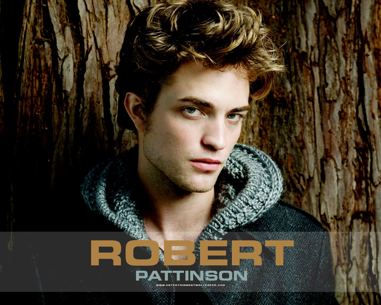 Especial Fotos Papel De Robert Pattinson Wallpaper
