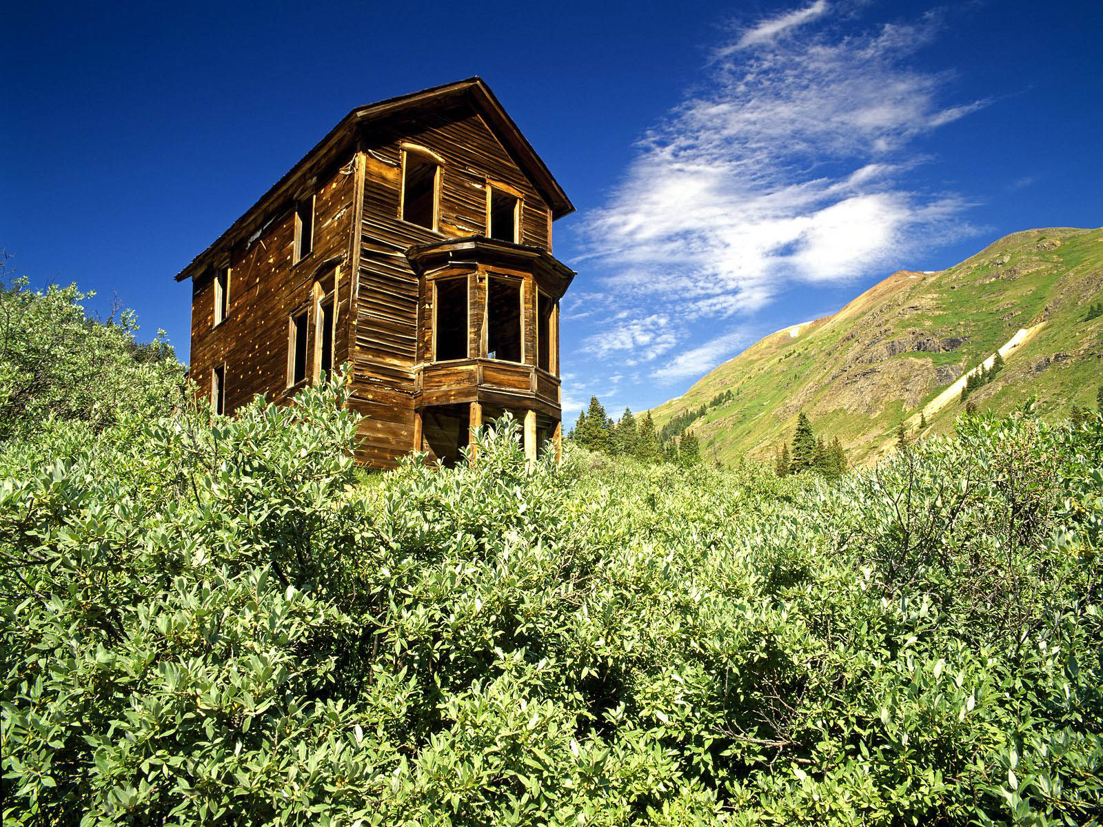 Wood House Wallpaper