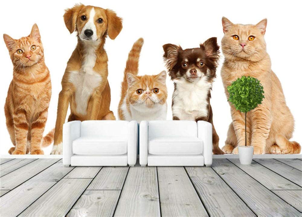 Cat Dog Pets Wallpaper Girls Childrens Bedroom 3d Photo