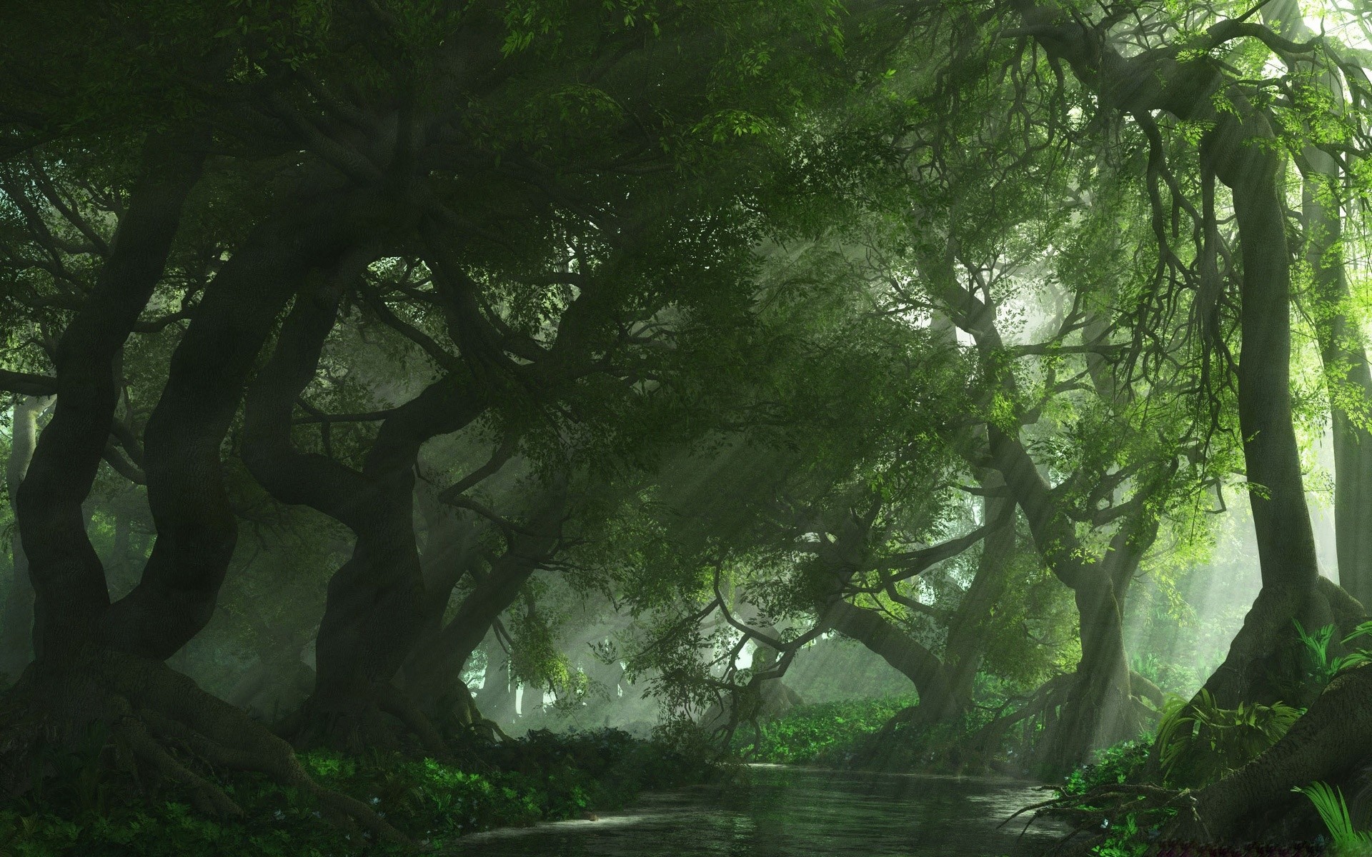 Green Forest Wallpaper