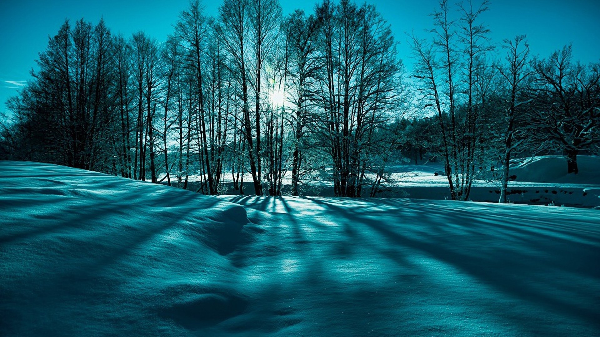Hello January Wallpaper Winter Landscape Frozen Stock Photo 537938836   Shutterstock