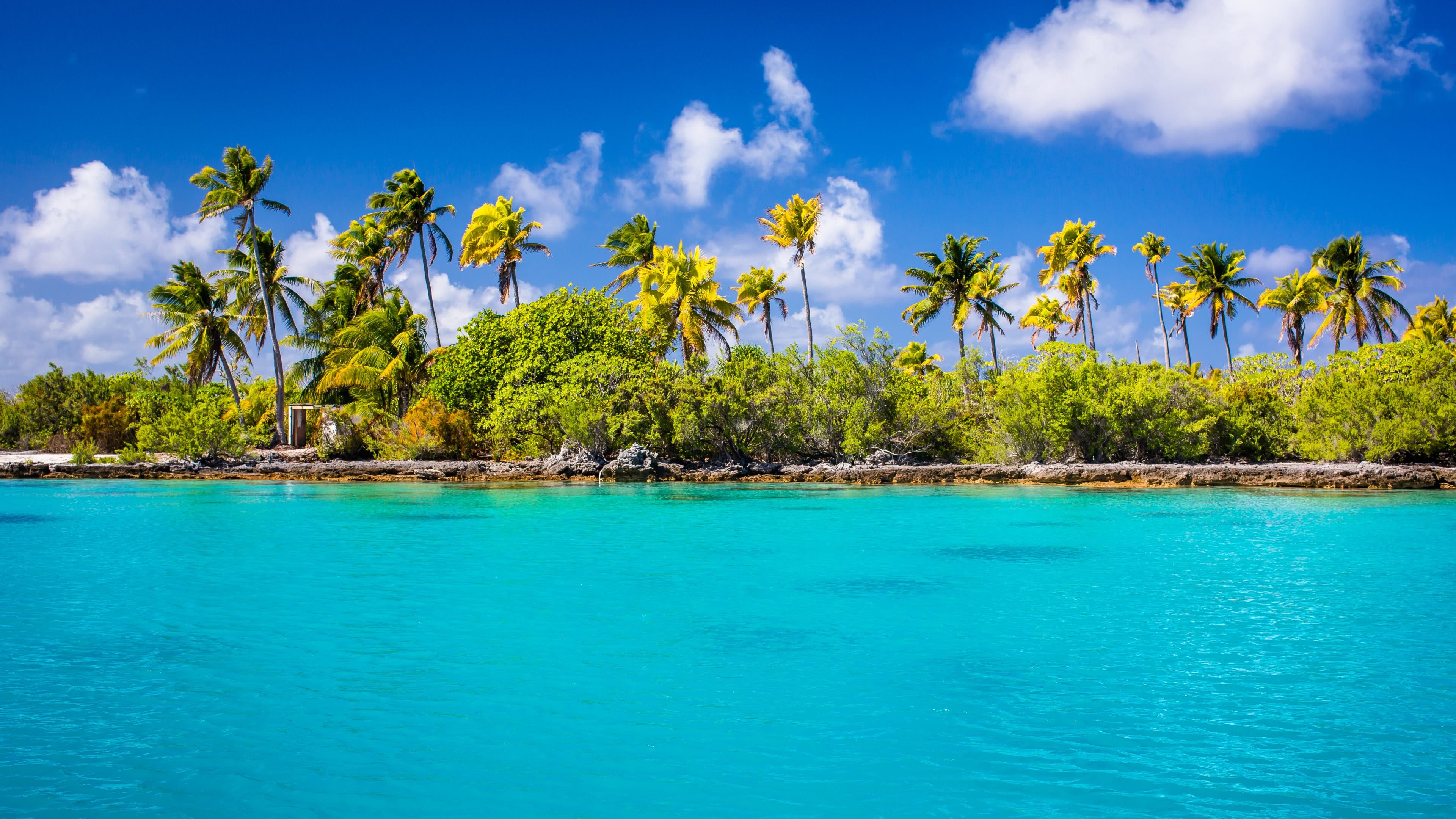 Tropical Island Paradise with Palm Trees and Turquoise Water, 4k Wallpaper