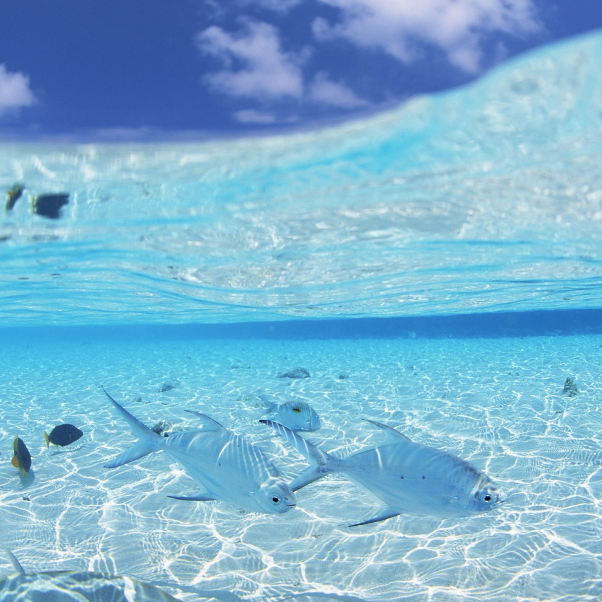  Water Wallpaper Maldives Top travel lists iPad Wallpaper Gallery