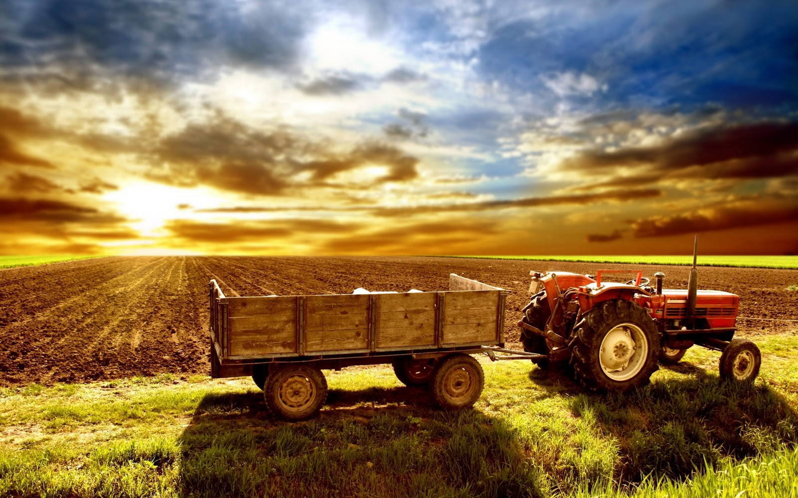 HD Wallpaper Farm Traktor Full
