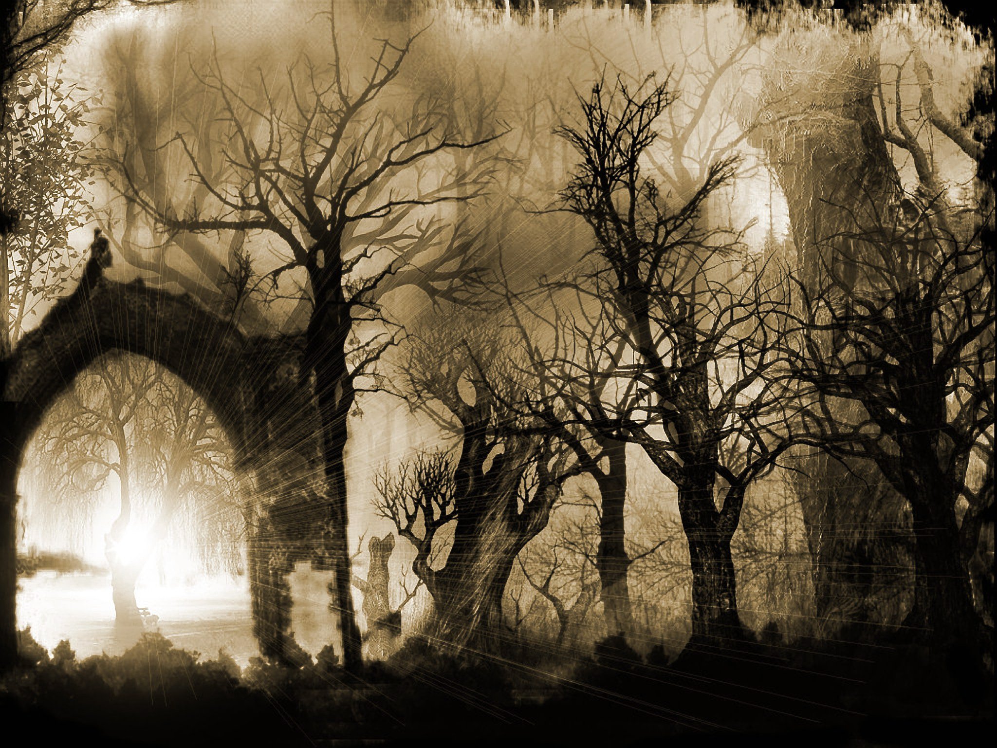 Sleepy Hollow Dark Horror Gothic Wallpaper Background