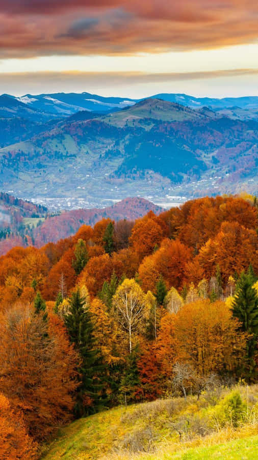 Enjoy The Beauty Of Autumn With iPhone Plus Wallpaper
