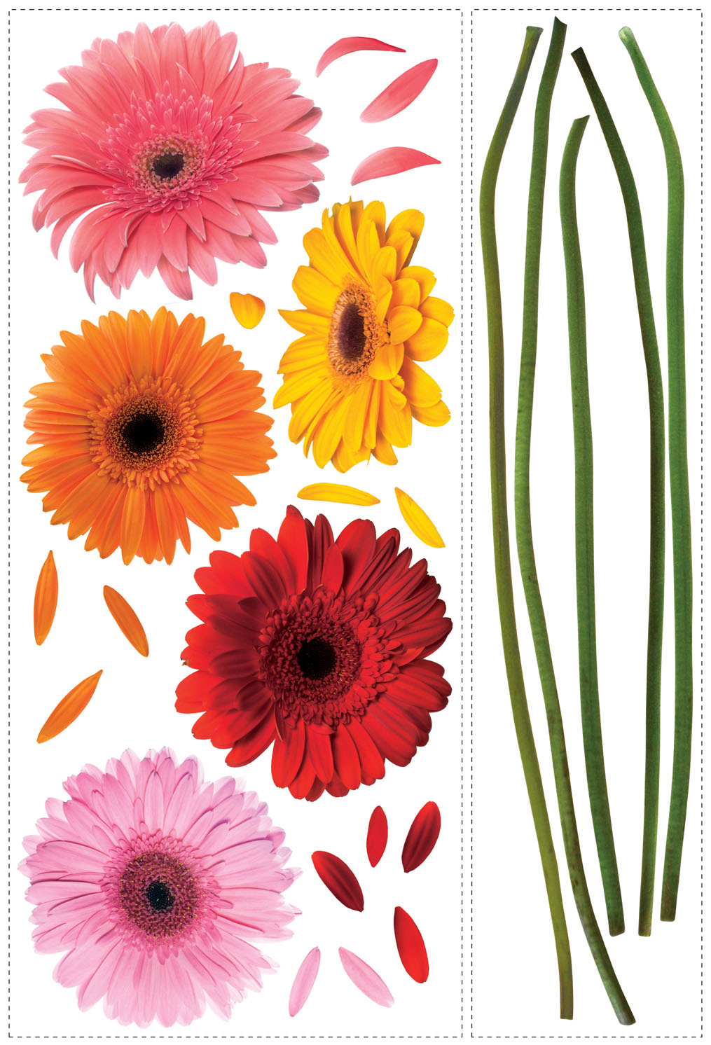 pear showers of thisby design creations gerbera daisy flower redflower