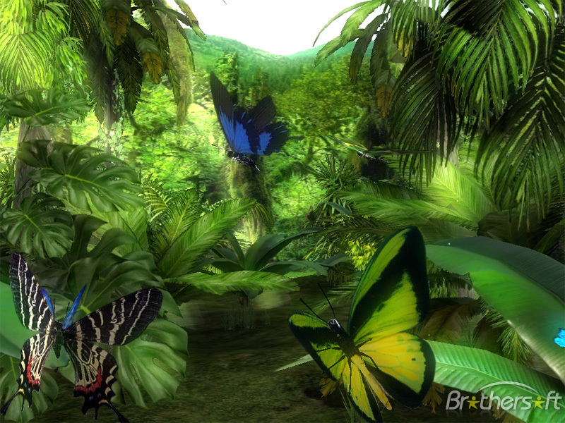 Free Forest Butterfly 3D Screensaver Forest Butterfly 3D Screensaver