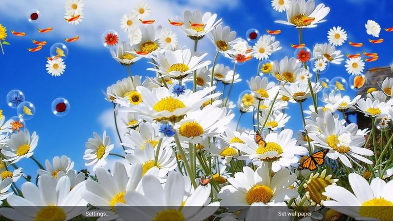 Flowers Live Wallpaper With Bubble For You Have