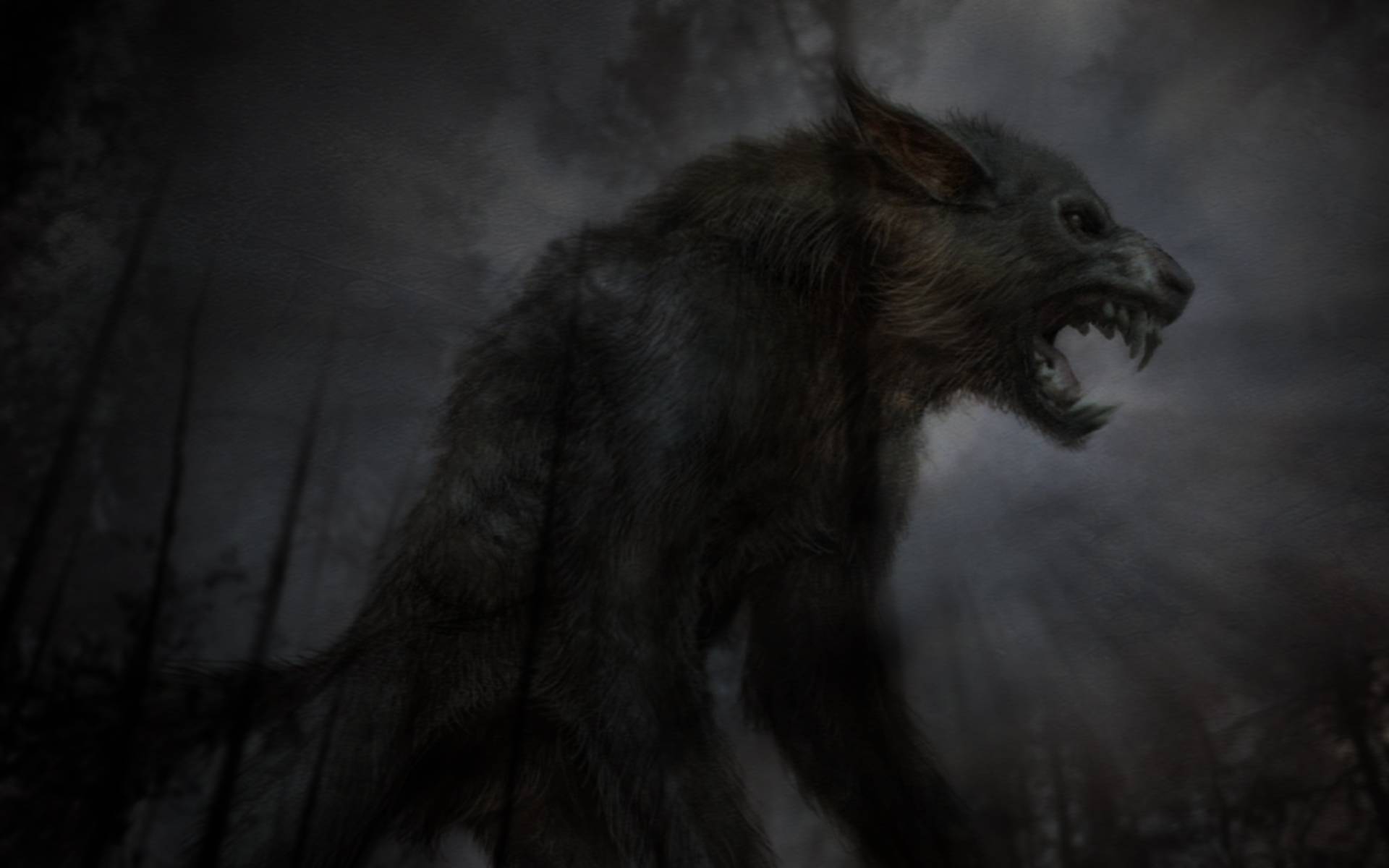 Werewolf Horror Wallpaper