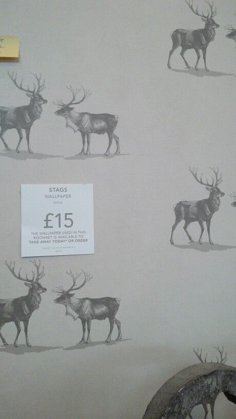 Wallpaper From Next Home Stag Bedroom
