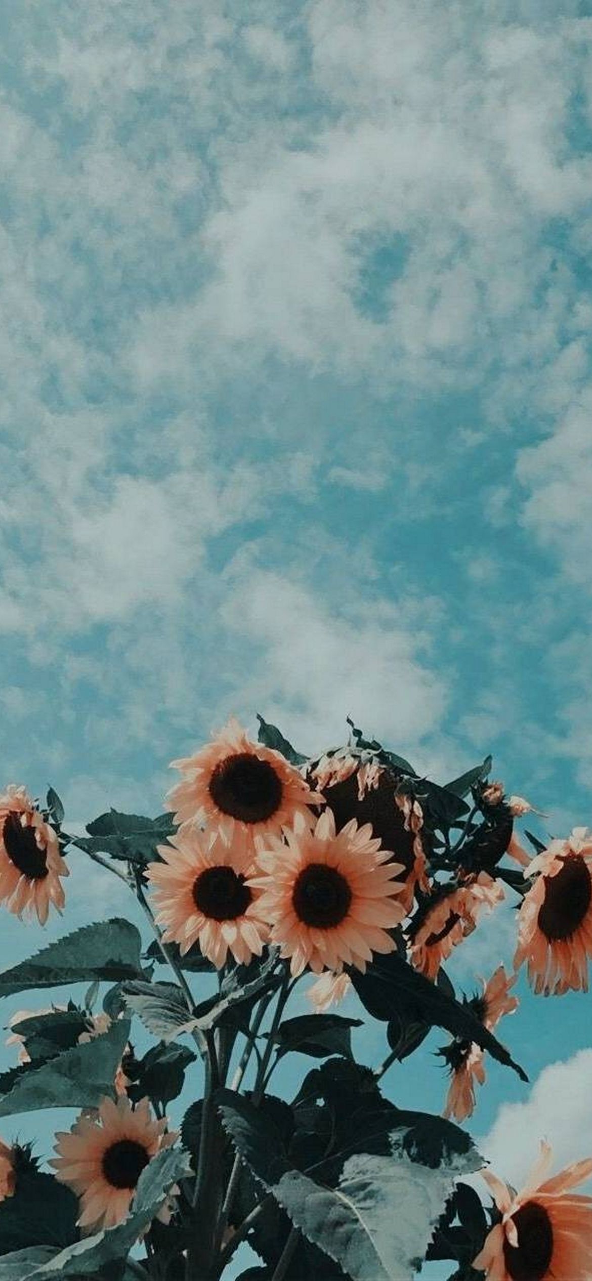 Aesthetic Wallpaper For Phone