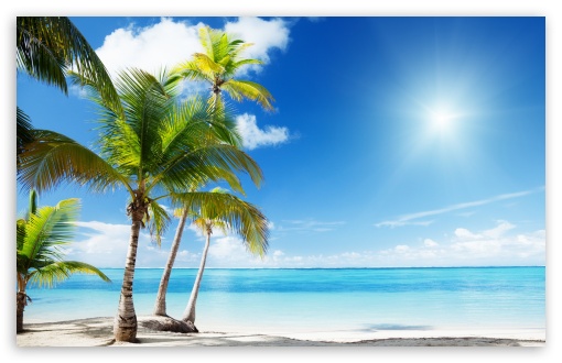 Tropical Beach Paradise HD Desktop Wallpaper Widescreen High