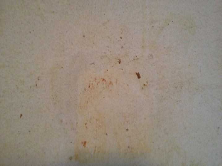 Free download Prepping Horsehair Plaster Walls Painting DIY Chatroom