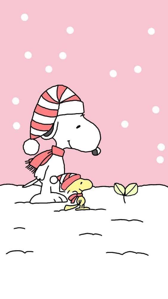 Mumeagency2 Linktree Snoopy Wallpaper Cute Christmas