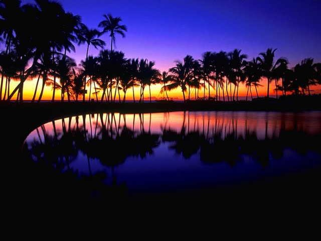 Photography Vol Tropical Reflections Hawaii Wallpaper