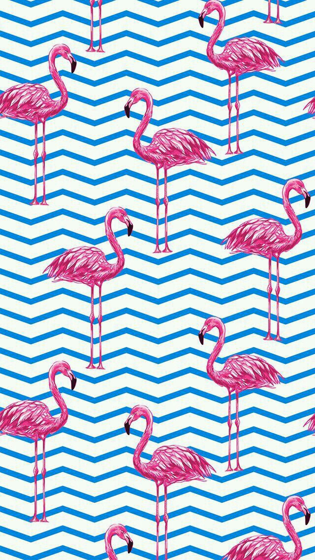 Pink Flamingos Wallpaper Shared By Amyjames On We Heart It