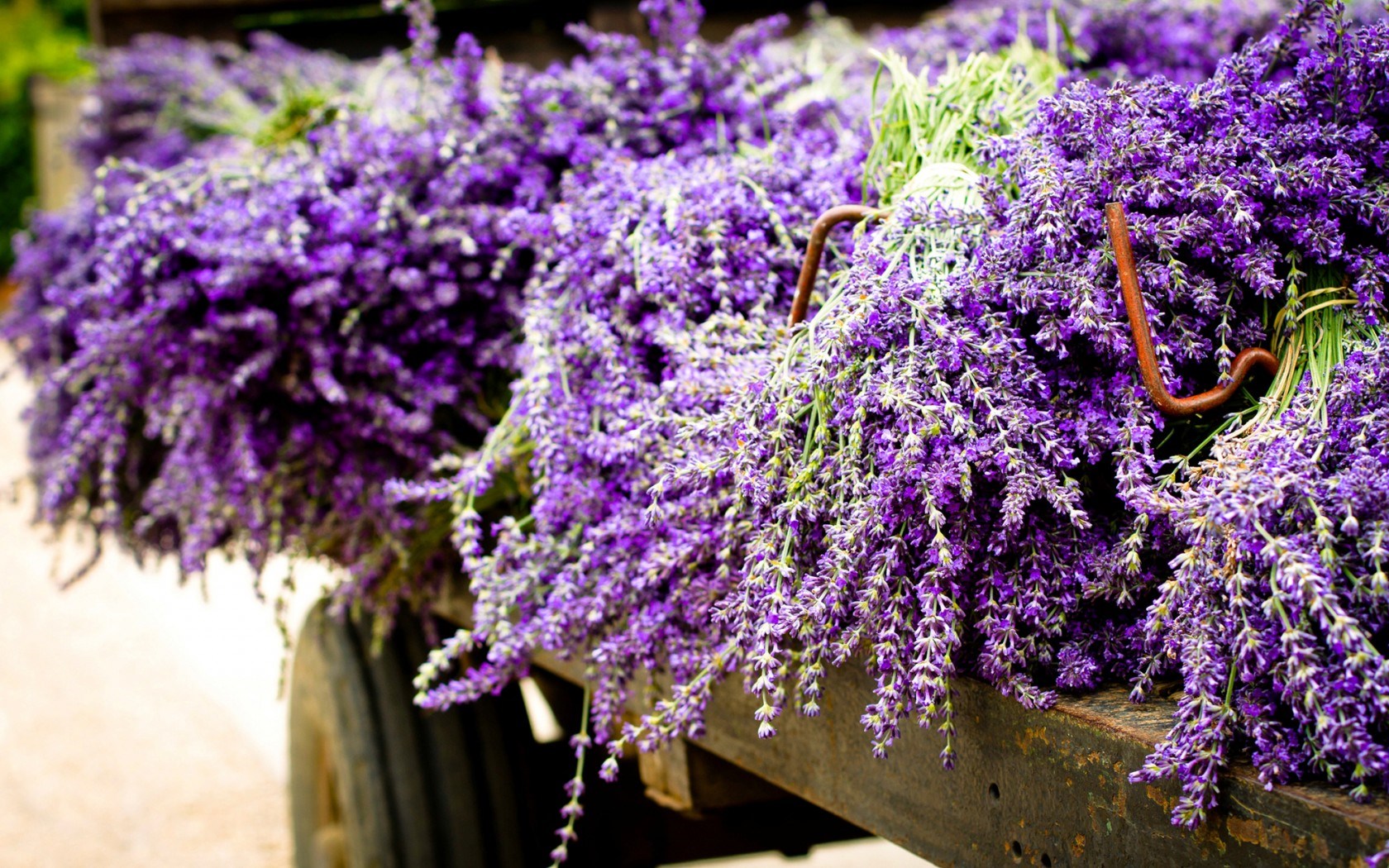  pure High Definition HD You can download cool desktop images for free