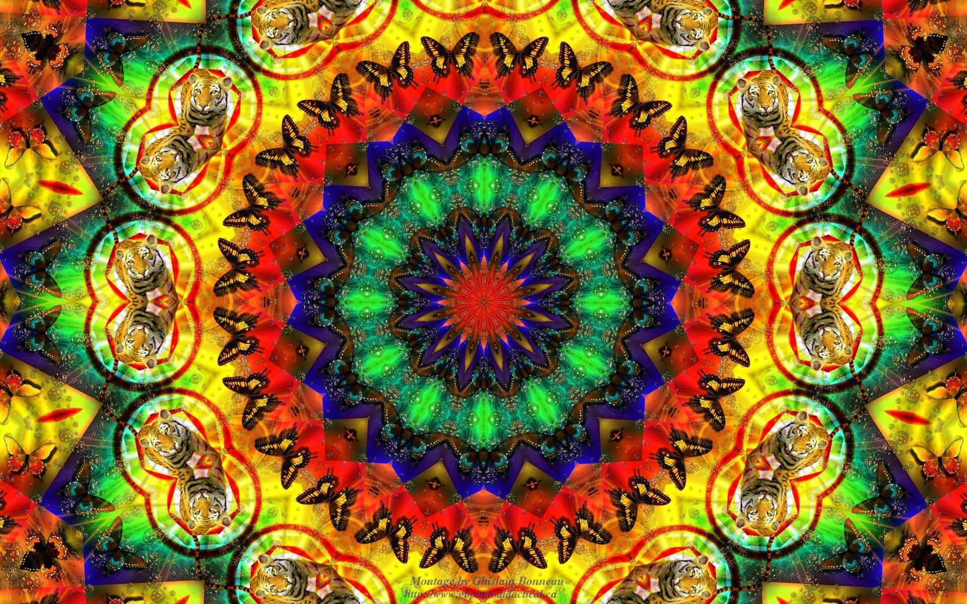 Hippie Aesthetic Laptop Wallpaper