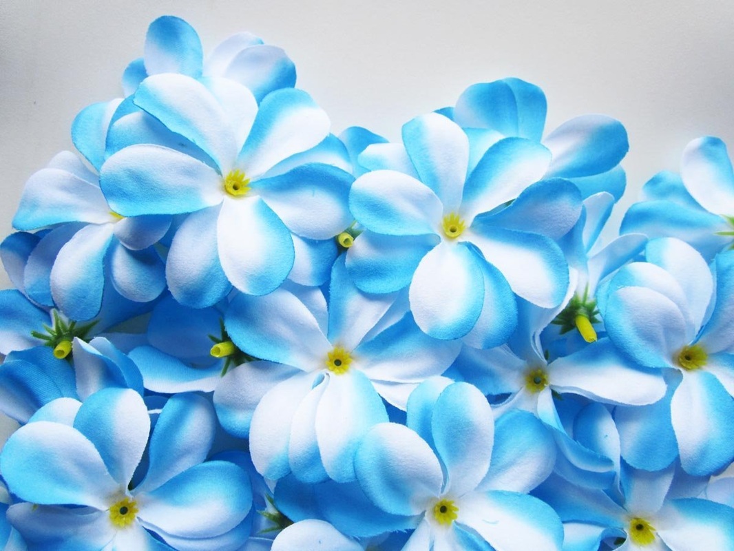 Beautiful Blue Flowers Wallpaper HD Poze Cu Flori Rosii Imagini