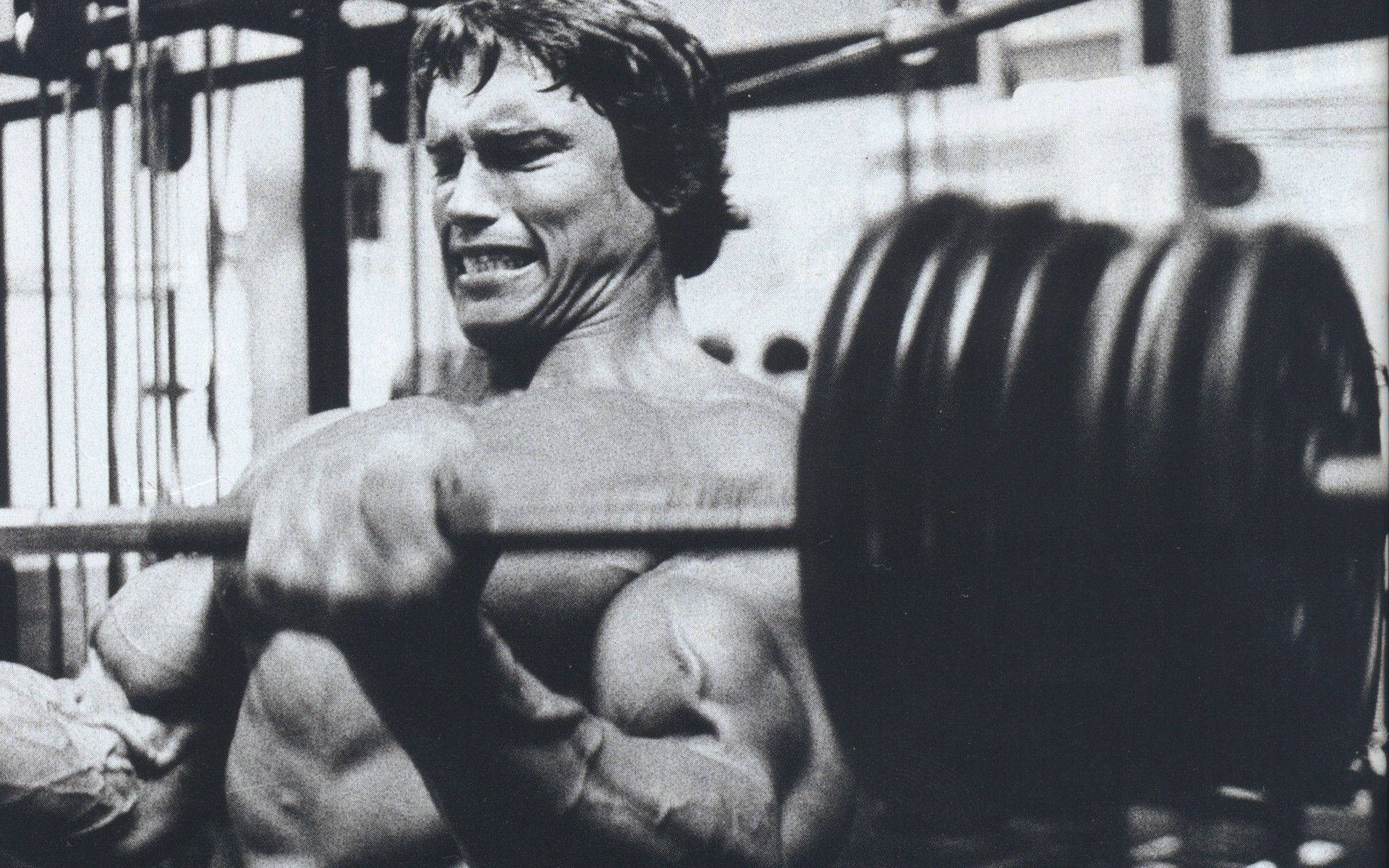 Arnold Schwarzenegger Wallpaper