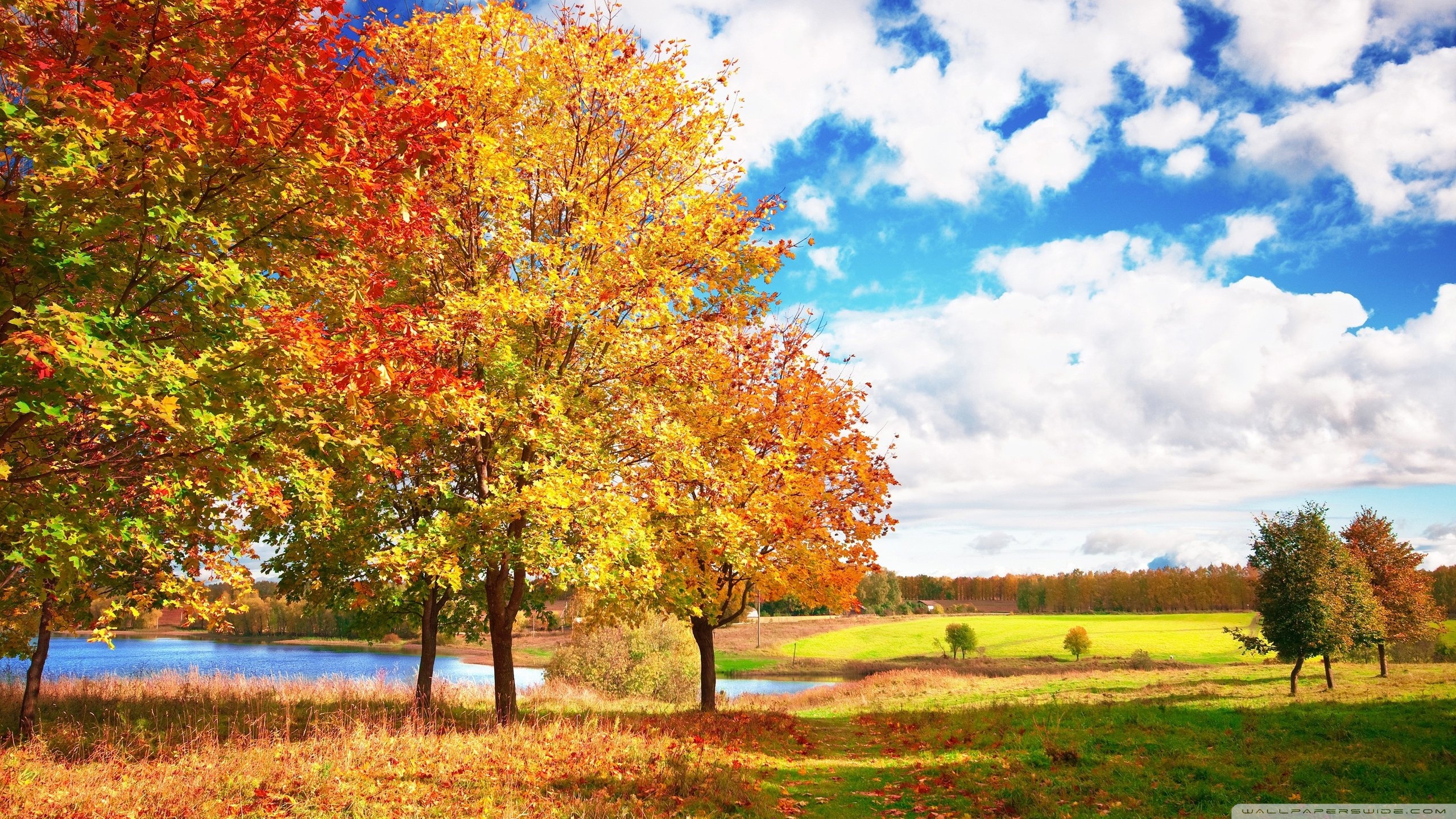 Beautiful Autumn Day Ultra HD Desktop Background Wallpaper for