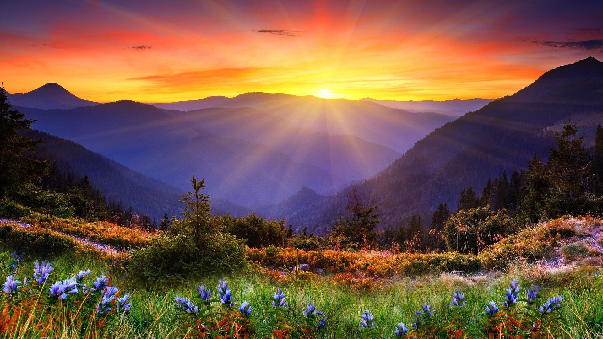 Panoramic Desktop Wallpaper