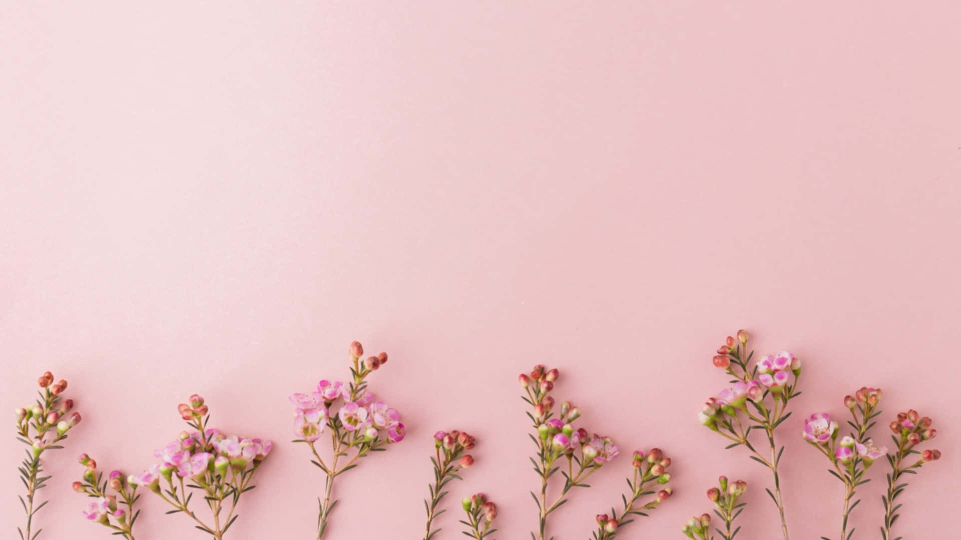 Rose Gold Desktop Wallpaper