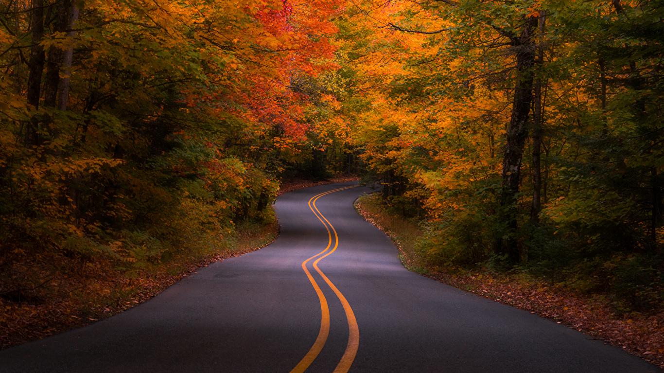 Wallpaper Usa Michigan Autumn Nature Roads Forests
