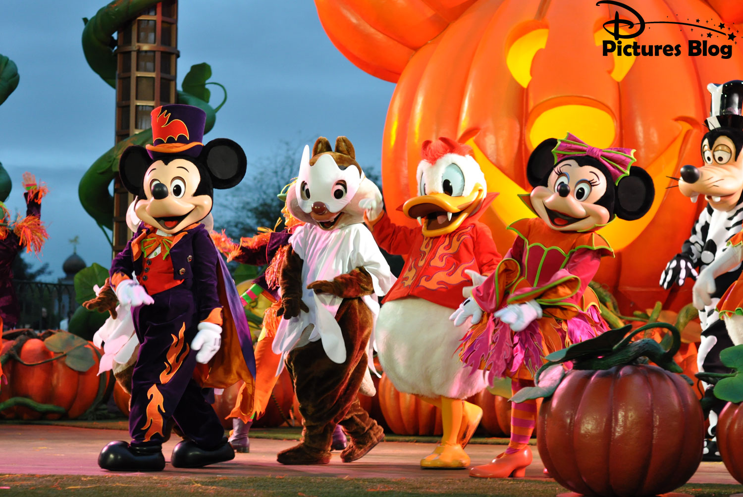 Mickey Mouse, Minnie Mouse, Donald Duck and other Disney characters dressed in Halloween costumes performing on a stage decorated with pumpkins