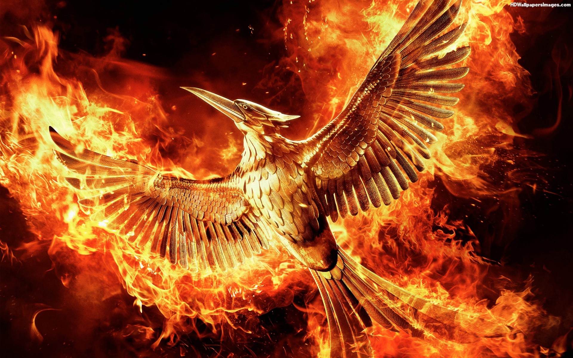 The Hunger Games Mockingjay Part 2 HD Wallpapers download 1920x1200