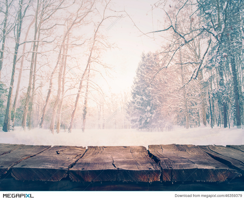 Winter Background Stock Photo Megapixl