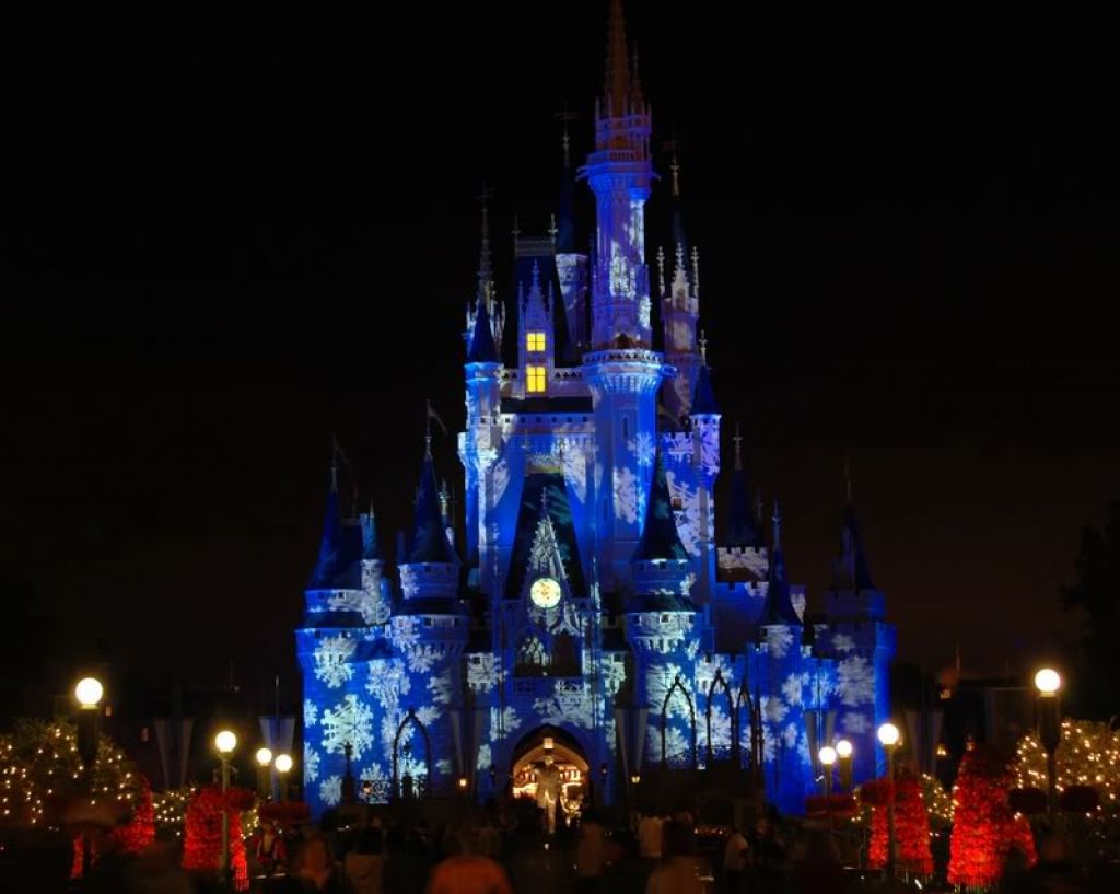 Disney World Castle