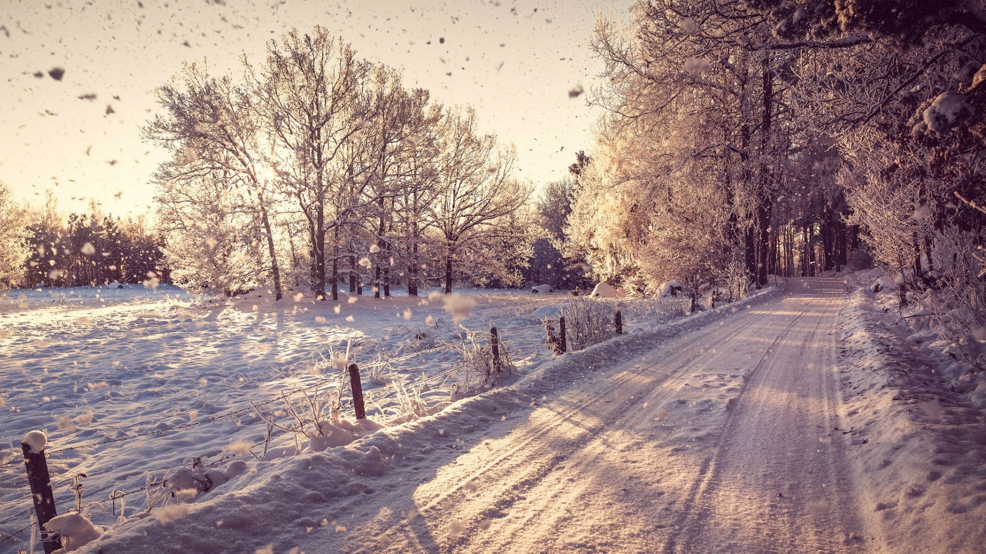 Country Road In The Winter Desktop Pc And Mac Wallpaper