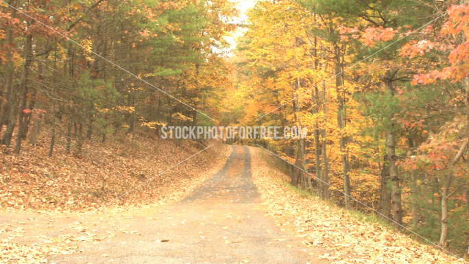 Country Backroads Zoom Stock Photo