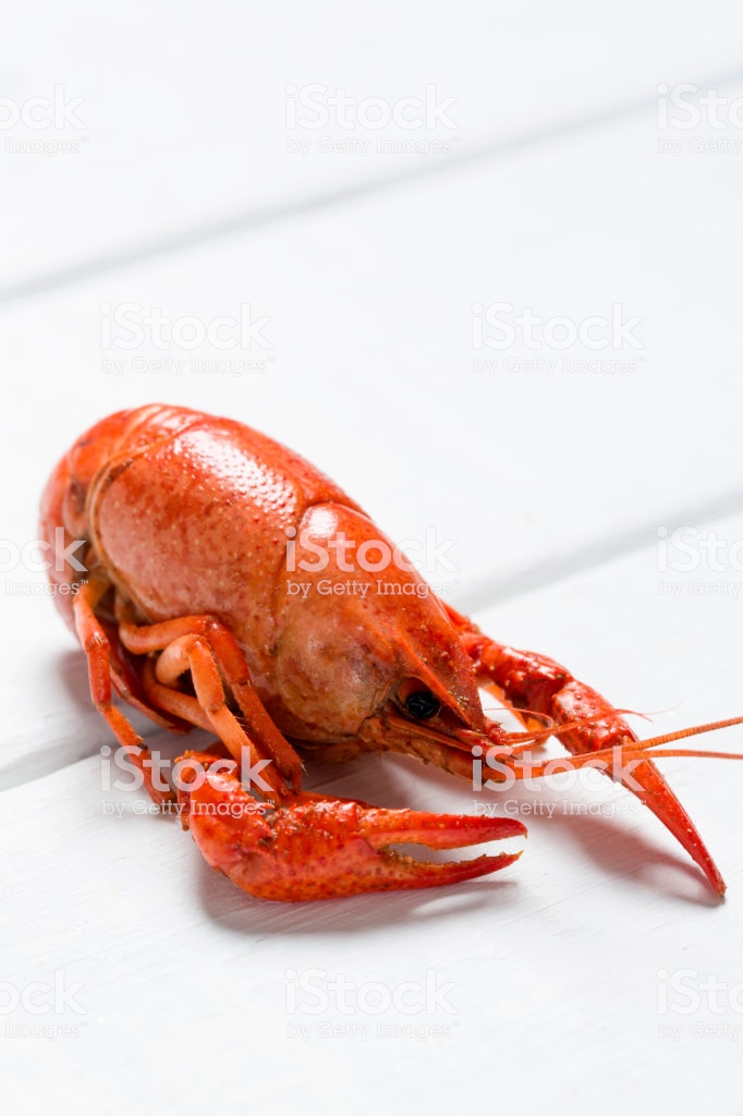 Boiled Crawfish On A White Background Stock Photo Image