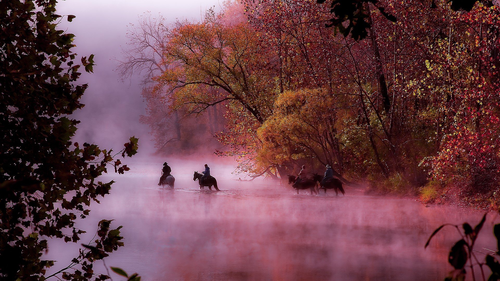 Horses and riders crossing the river on a foggy morning in the 1920x1080